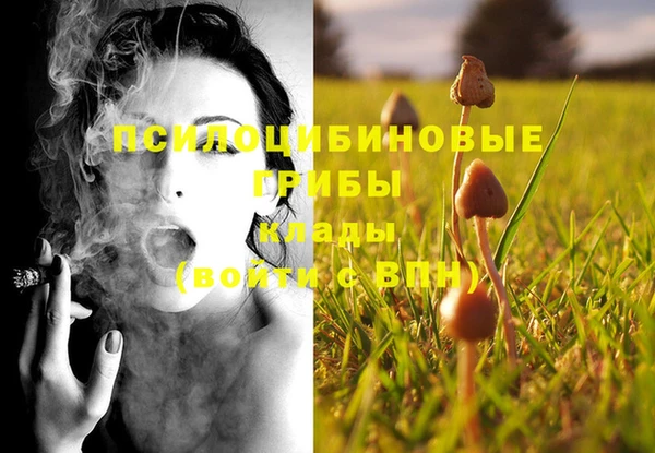 соль ск Алзамай